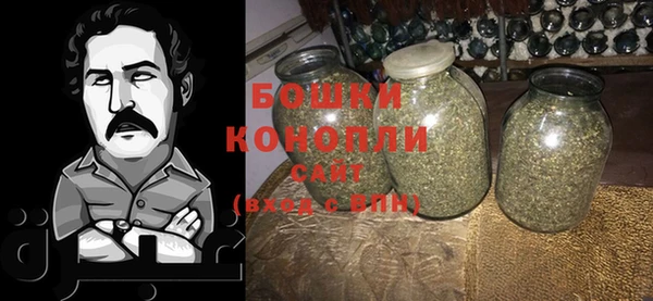 шишки Пересвет